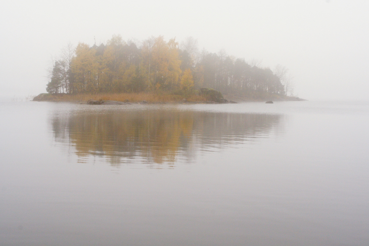 Осень в тумане