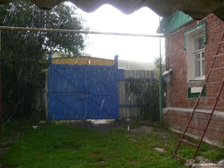 Летнея свежесть