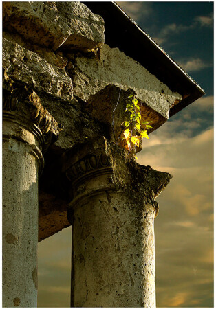 Навстречу солнцу