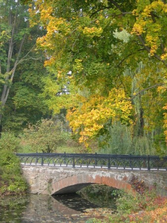 Осень золотая