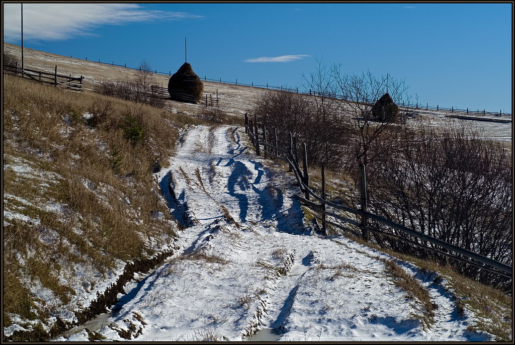 Дорога