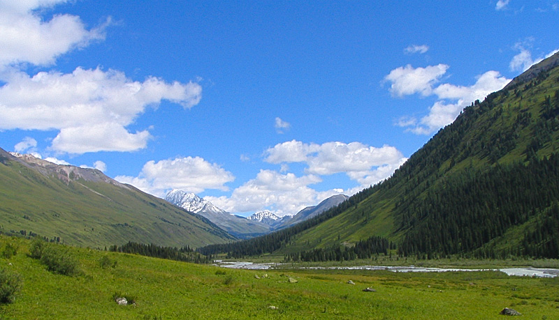 Долина р.Белая Берель
