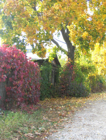 Маленький домик...