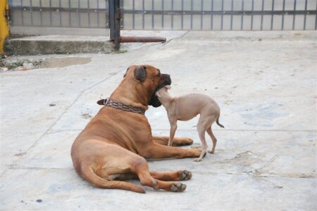 Смертельный номер!!!