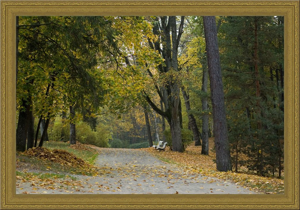 Autumn silence