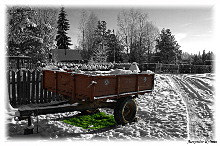 Лето не сдается...