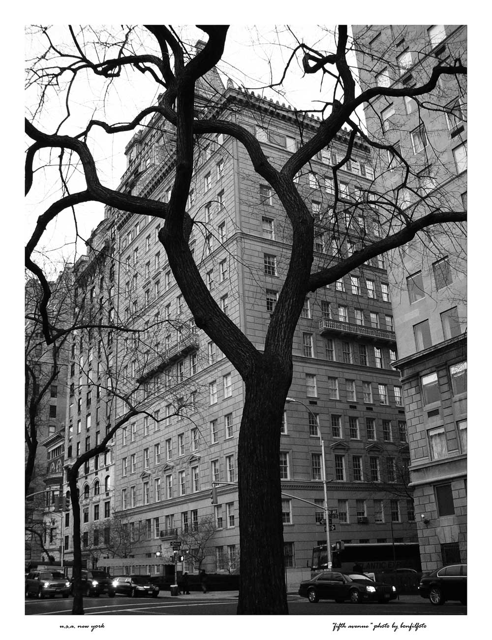 &quot;FIFTH AVENUE&quot; NEW YORK