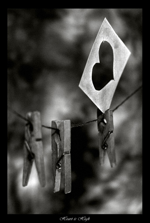 Heart is High