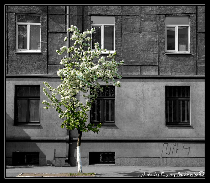 городская зарисовка