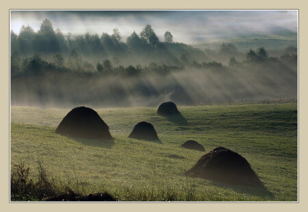Утро
