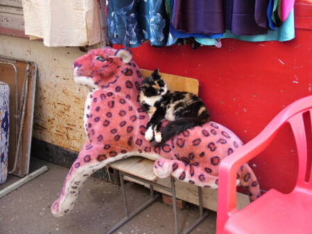 Удачная охота