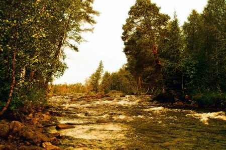 Таежная река.