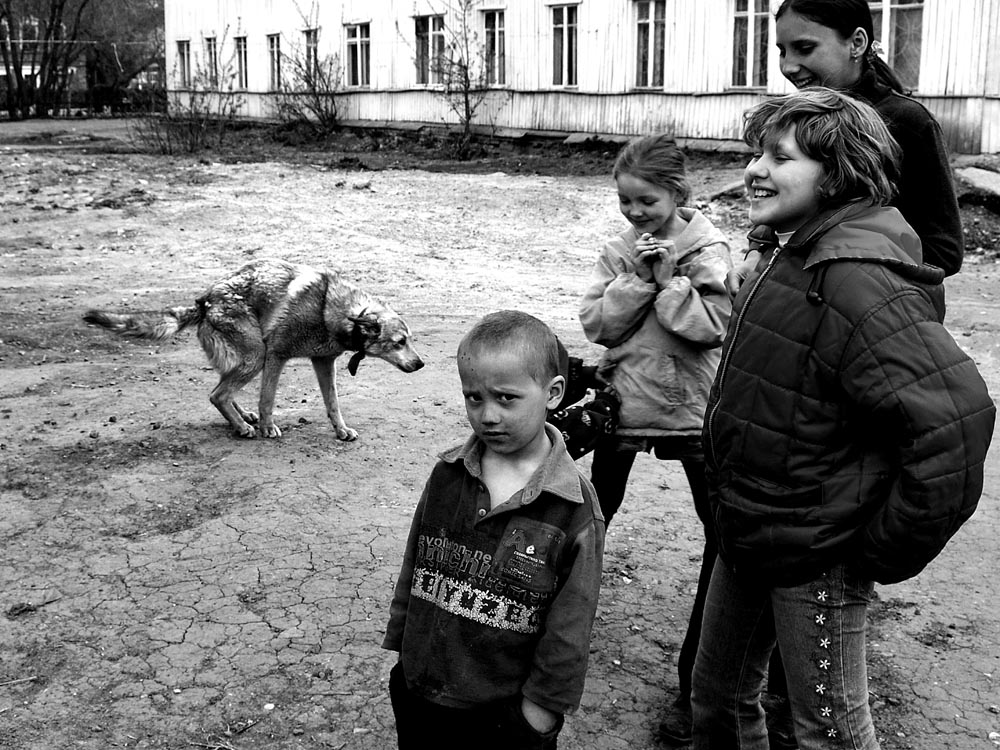 Собачья жизнь