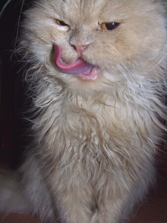 хорошый завтрак