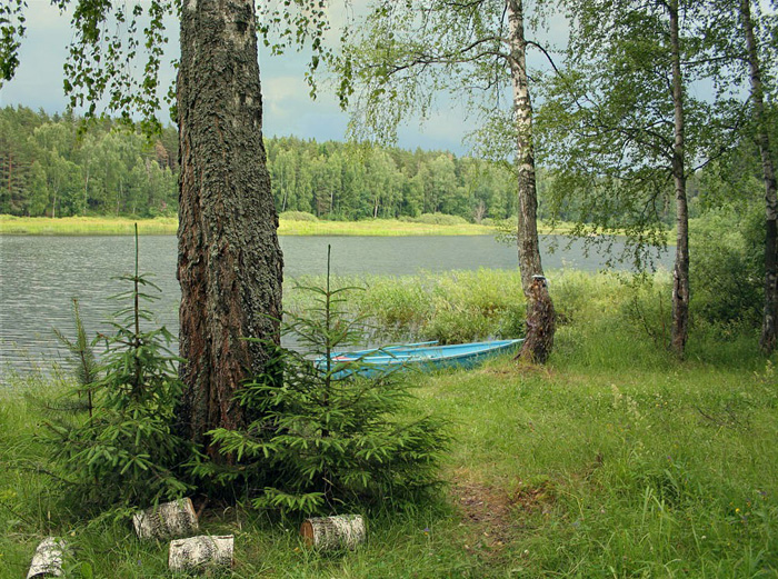 Затишье перед бурей