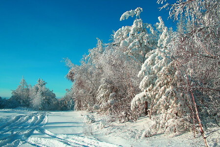 Зима