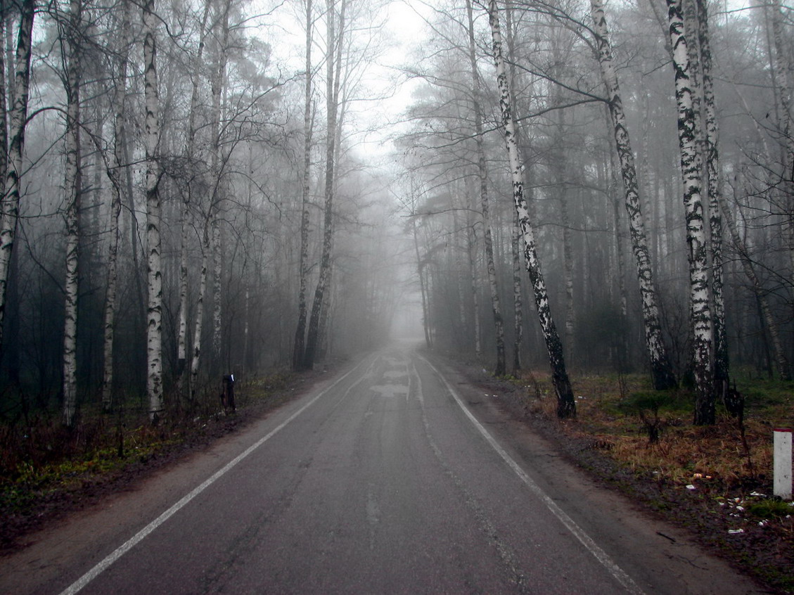 Утром, осенью, в тумане