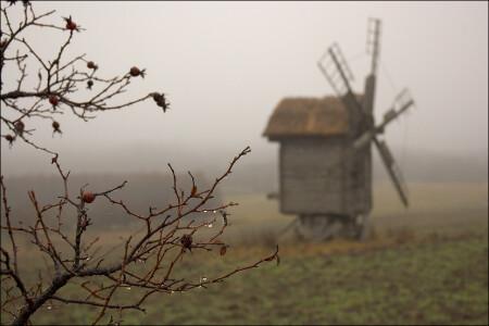 Деревенский осенний пейзаж [1]
