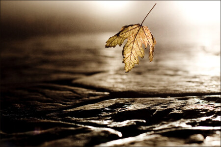 fall