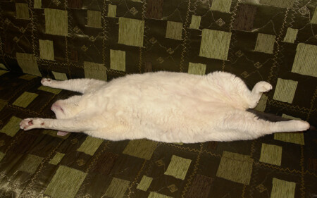 Утренняя зарядка №1