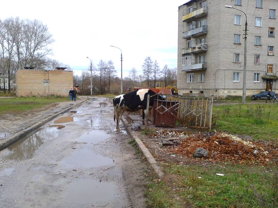 No Comments