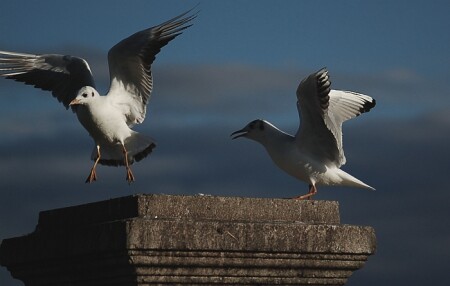 это моё место !