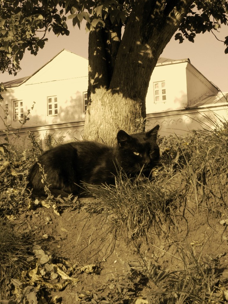 И это символ неудачи?