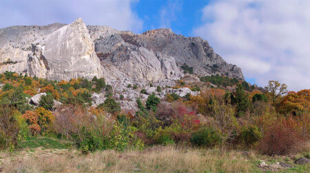 Остатки осенней палитры
