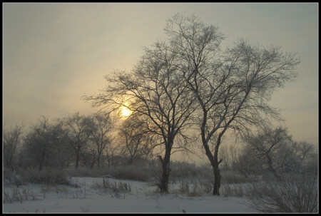 The First day of the winter...