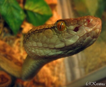 Взгляд в самую душу