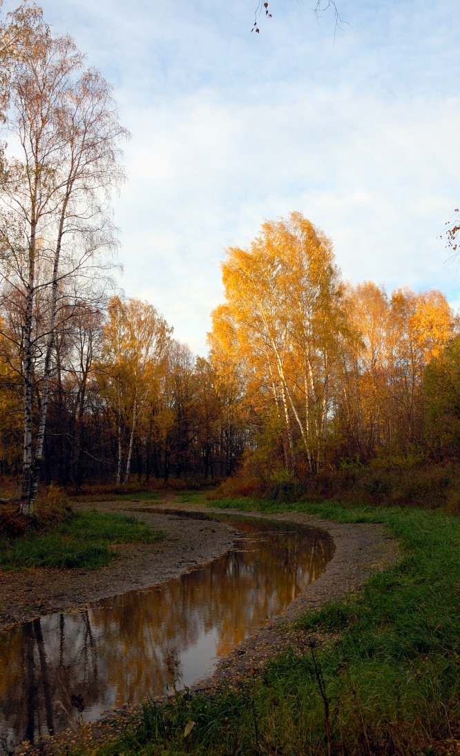 Осень. Перед закатом. 