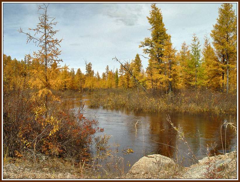 Осень