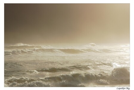 Ocean surf