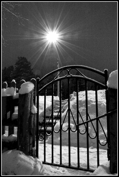 to the light