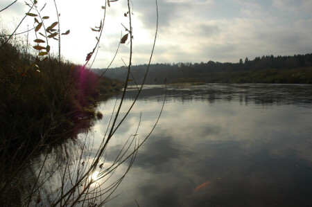 Река...Просто река.