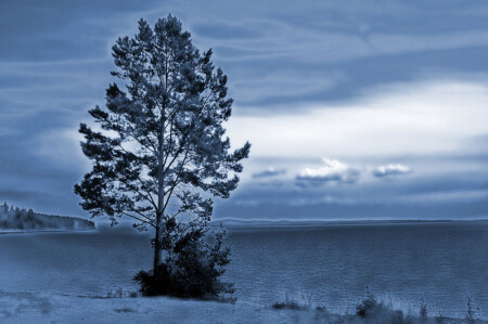 Тонировать море