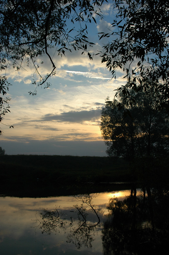 Летняя