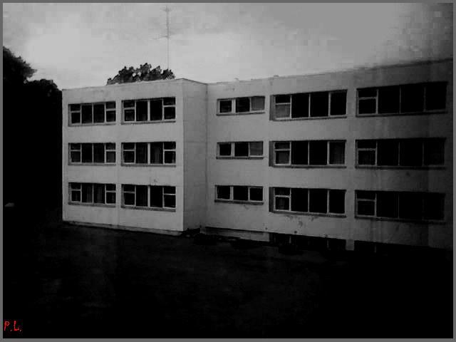 School.