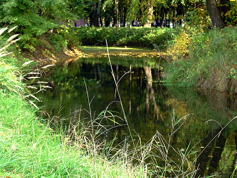 Водяное зеркало