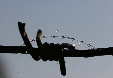 Реабилитация