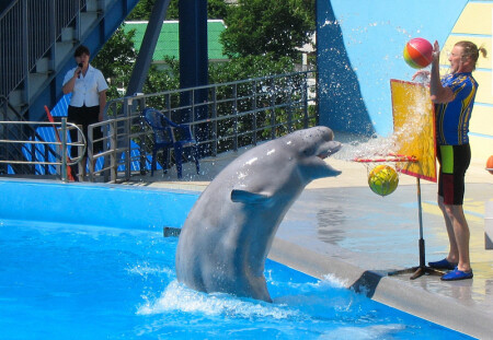 Недорепетировали...