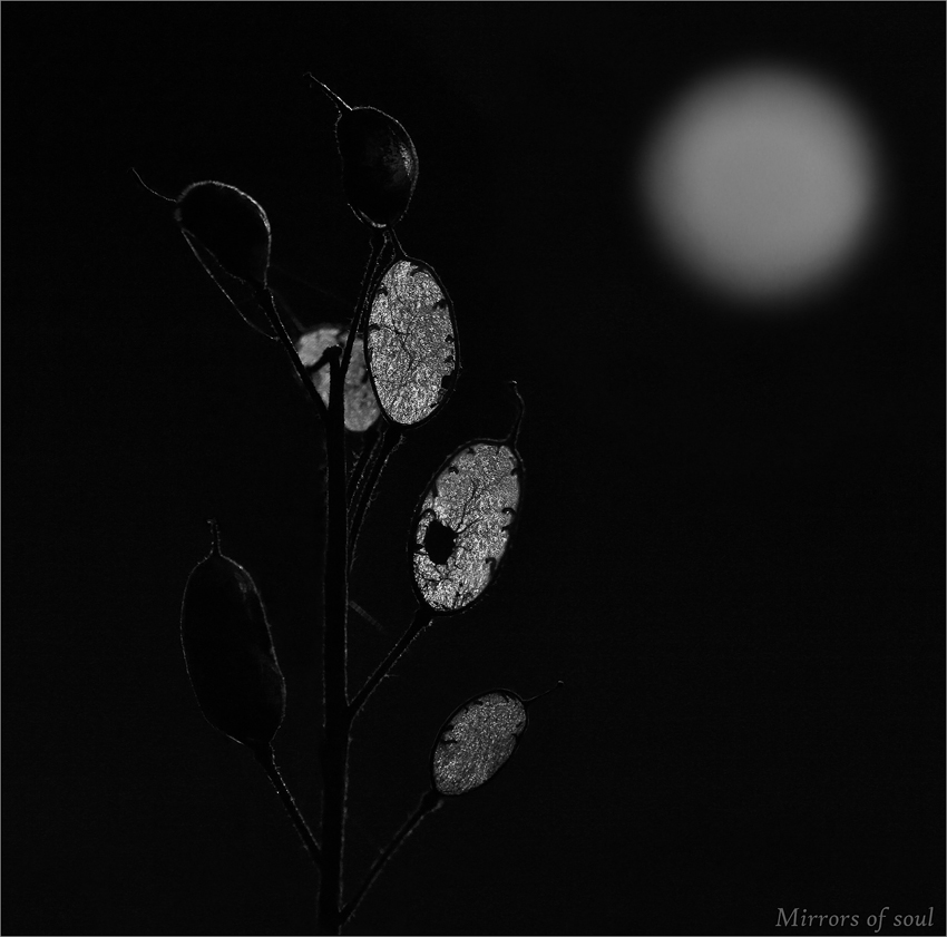 Mirrors of soul