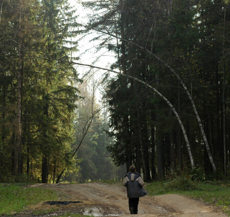 Пасть арахнида.