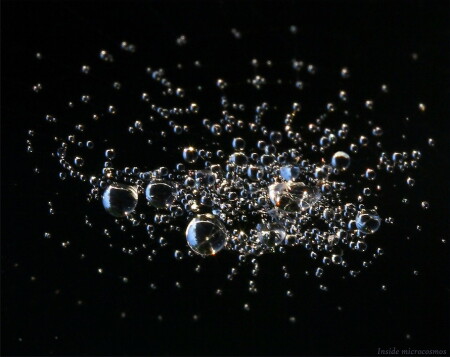 Inside microcosmos