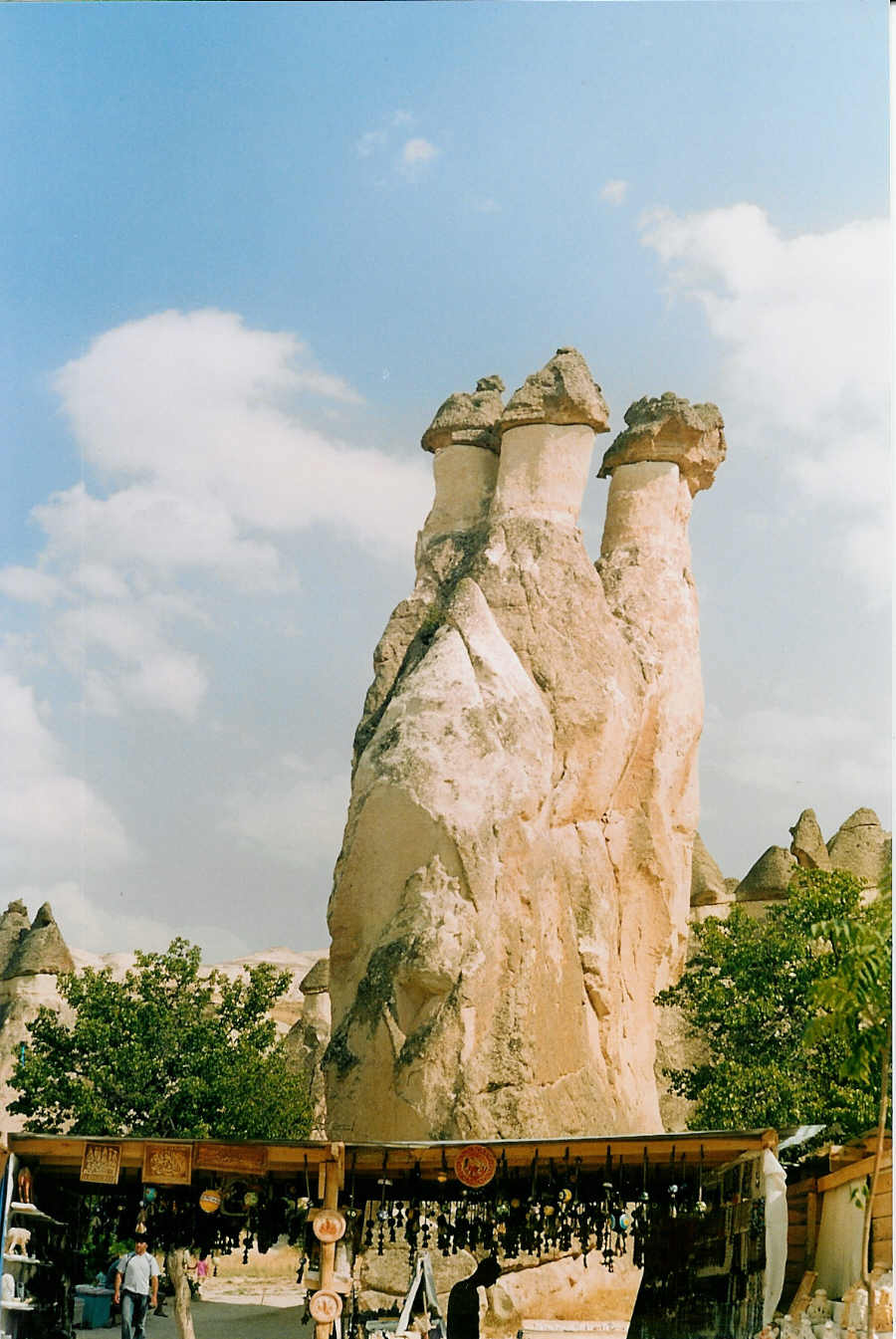 Грибочки