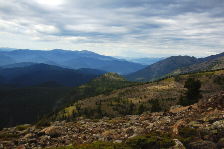 Солнечные пятна