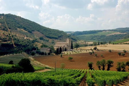 Abbadia Sant Antimo. Toscana.