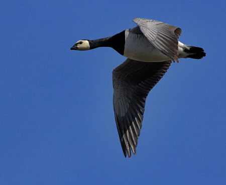 Взгляд с высока