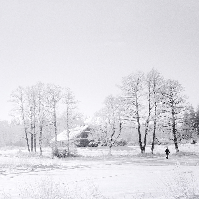 white wintertime
