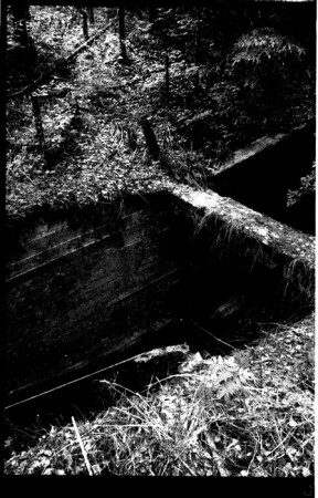 трипы_пятая